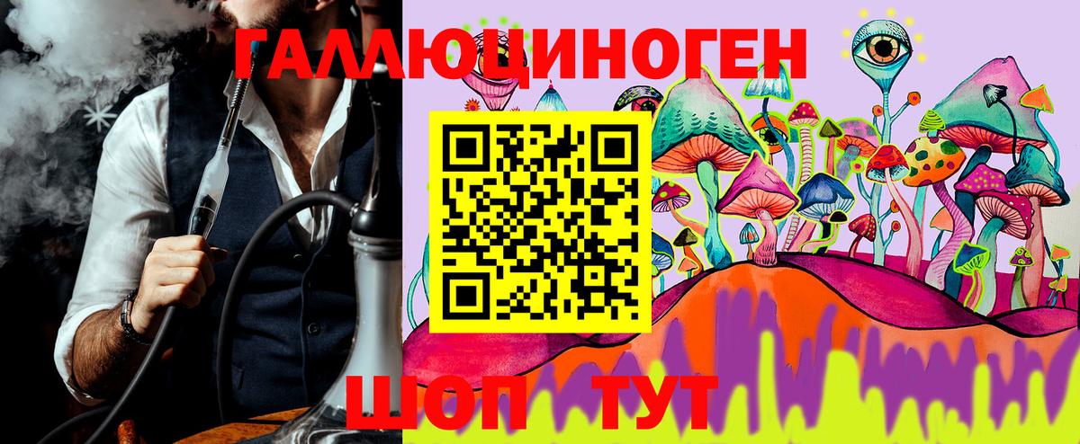 Псилоцибиновые грибы Psilocybine cubensis Шахты